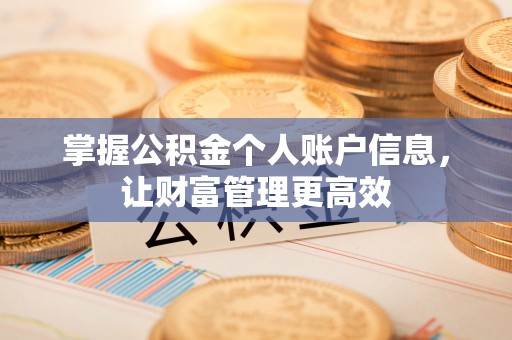 江苏掌握公积金个人账户信息，让财富管理更高效